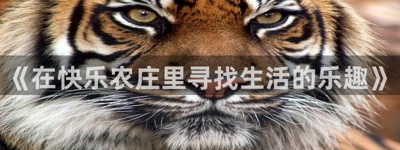 天辰娱乐新闻
