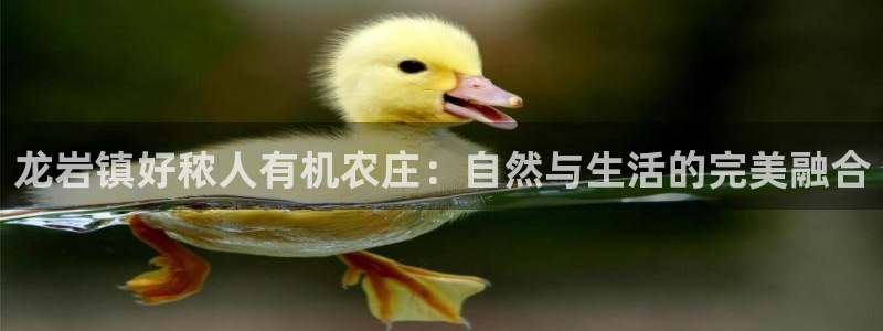 天辰娱乐游客