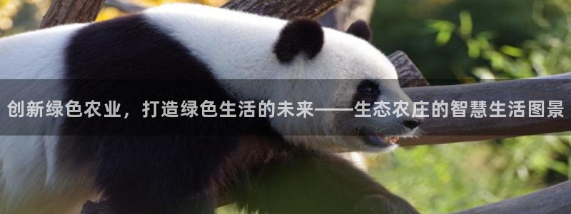 辰天娱乐用品