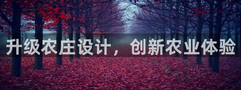 哈尔滨天辰娱乐