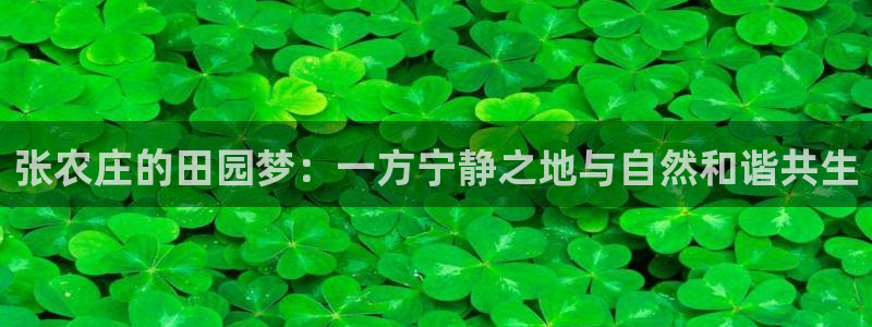 天辰天富娱乐登录