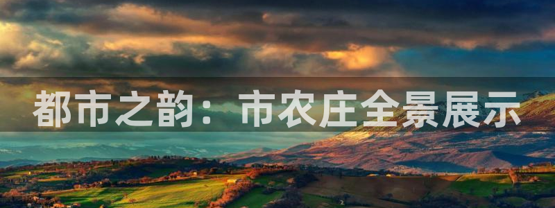 辰天娱乐用品