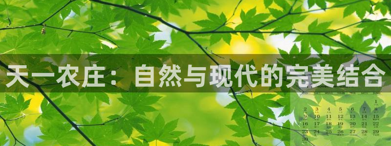 天辰娱乐平台测速