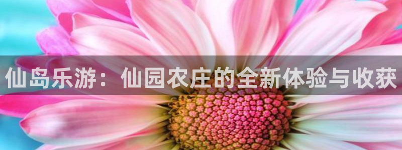 天辰娱乐 首选