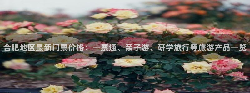 天辰娱乐招商