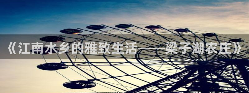 天辰娱乐股东