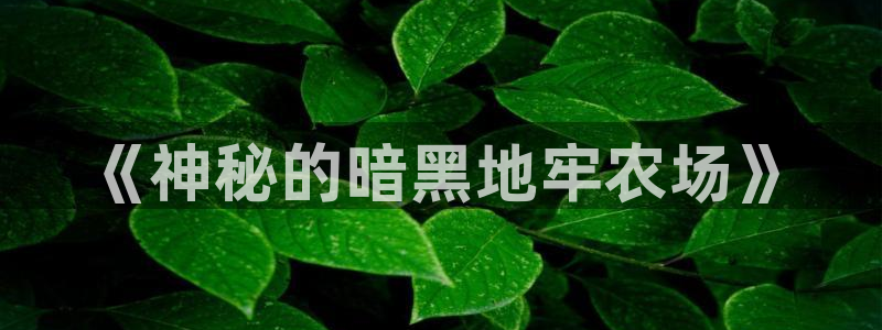 nba天辰娱乐