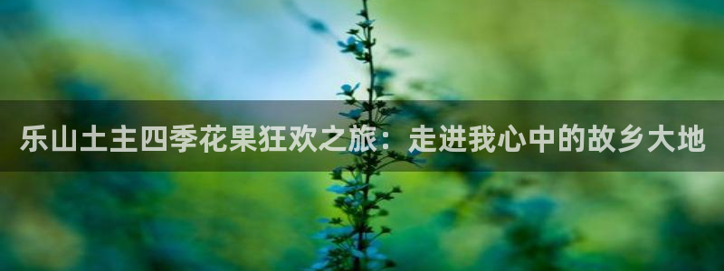 天辰娱乐赌博