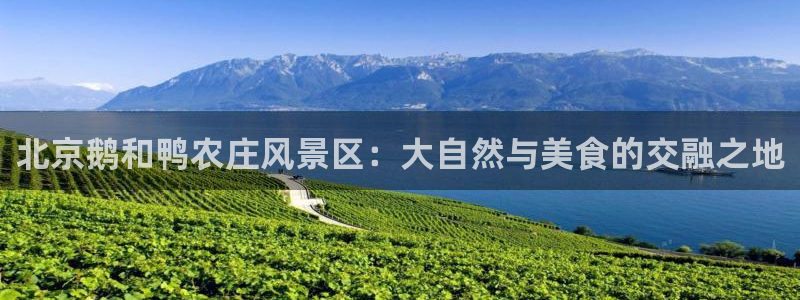 天辰娱乐平台注册