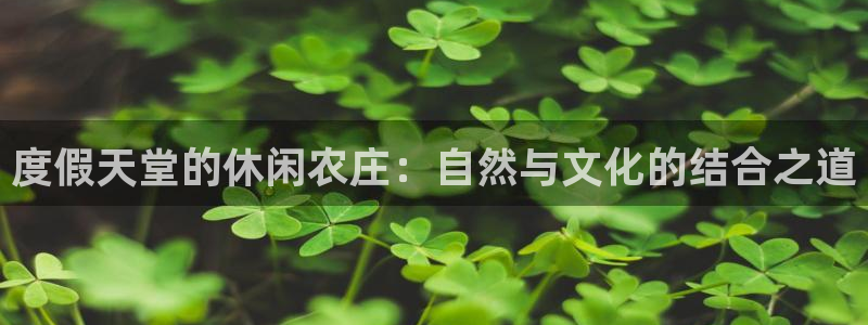 天辰娱乐675138