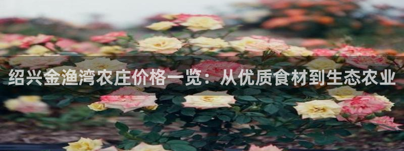 天辰娱乐平台靠谱么