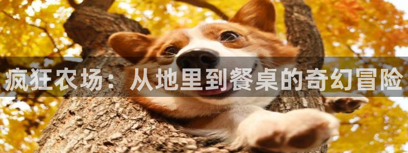 天辰登陆娱乐