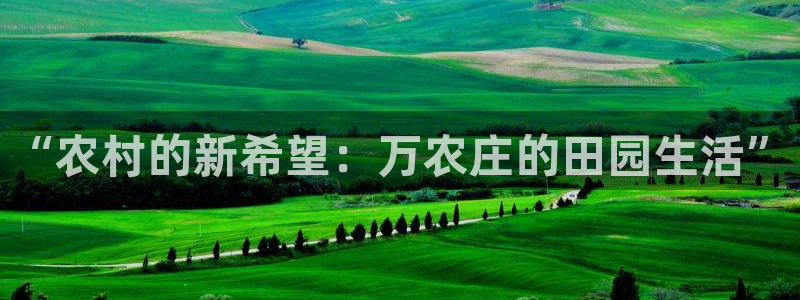手机上怎么下载天辰娱乐