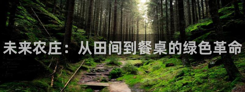 天辰娱乐小姐