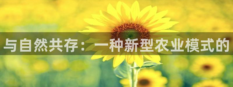天辰娱乐直属