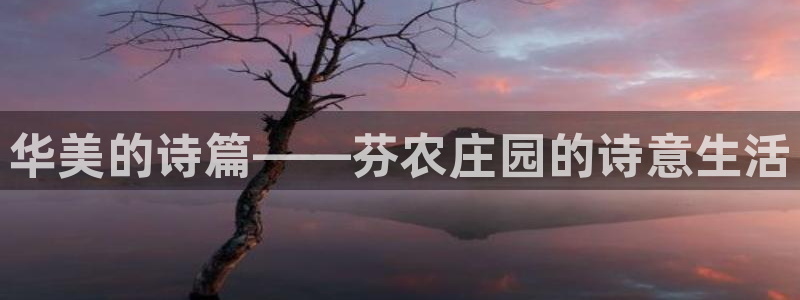 集宁天辰娱乐