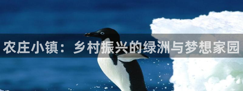 天辰娱乐首选