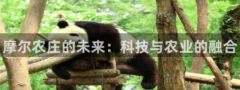 天辰天富娱乐登录