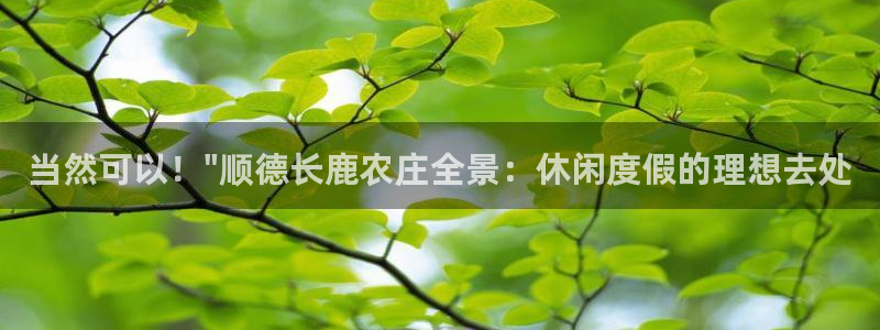 集宁天辰娱乐
