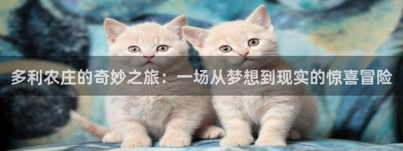 天辰娱乐开户