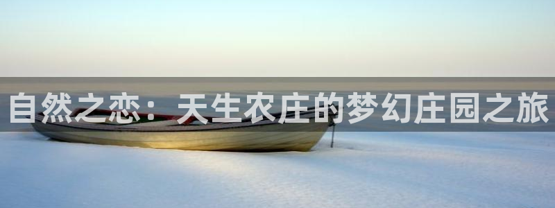 天辰娱乐下载