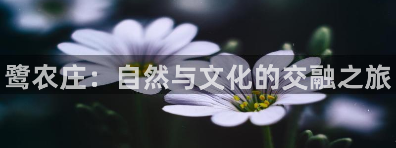 徐州天辰娱乐