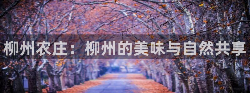 天辰娱乐新