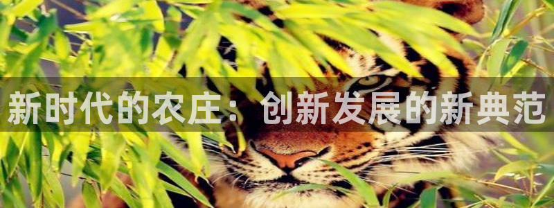 天辰娱乐软件