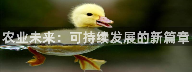 天辰娱乐扣钱