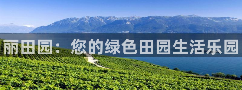 天辰娱乐上级