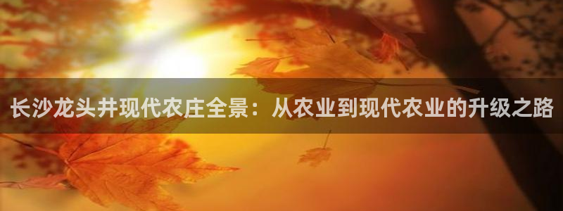 天辰娱乐黑人