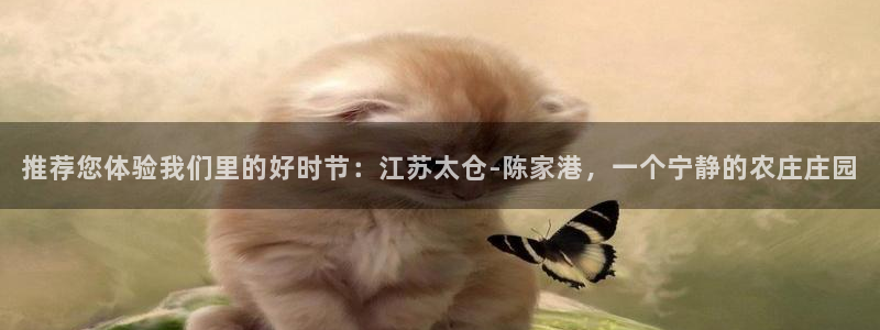 天辰娱乐论坛