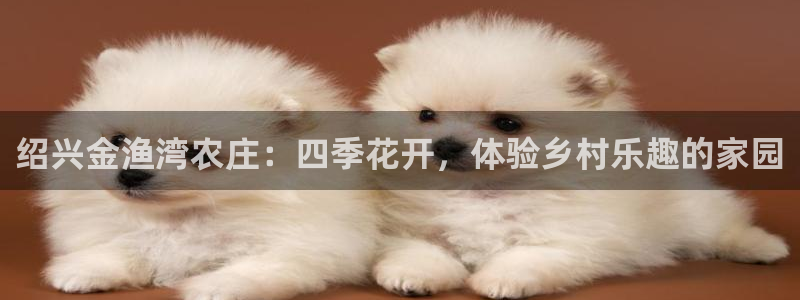 天辰娱乐平台入口