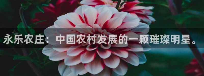 天辰娱乐app