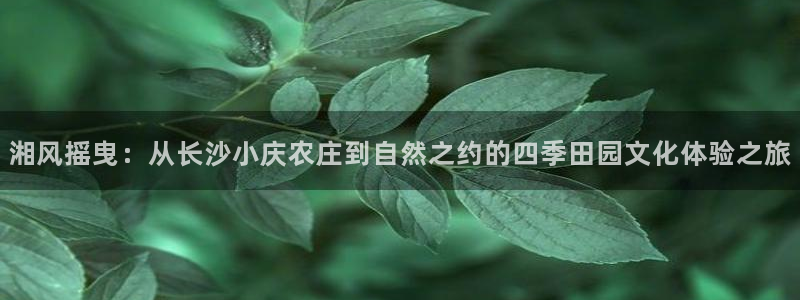 天富娱乐天辰娱乐