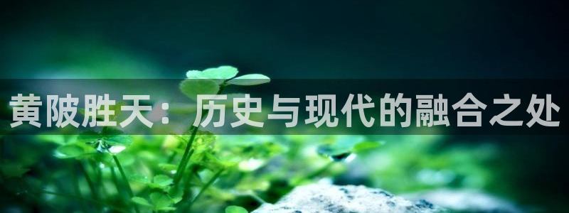 北京天辰娱乐