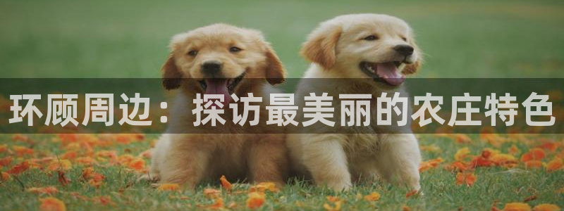 天辰娱乐84566