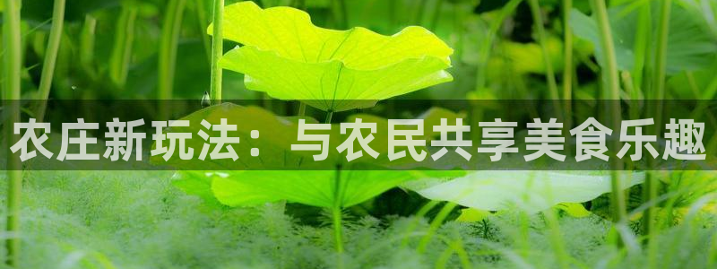天辰娱乐下载
