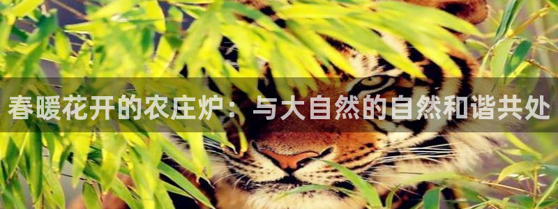 天辰娱乐appxi