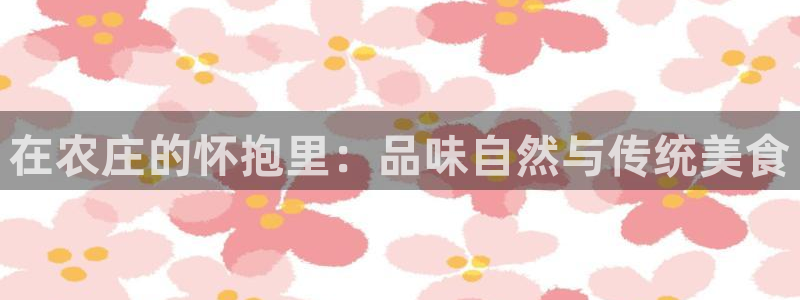 天辰娱乐招商