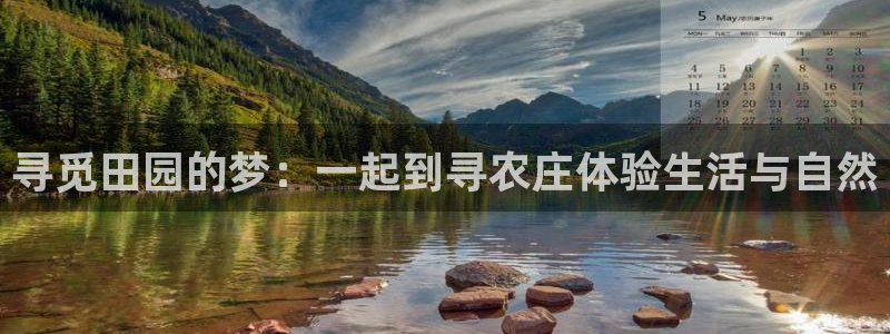 天辰娱乐tff