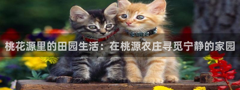 天辰娱乐1996