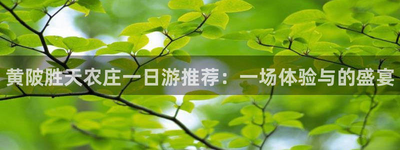 天辰娱乐平台地址