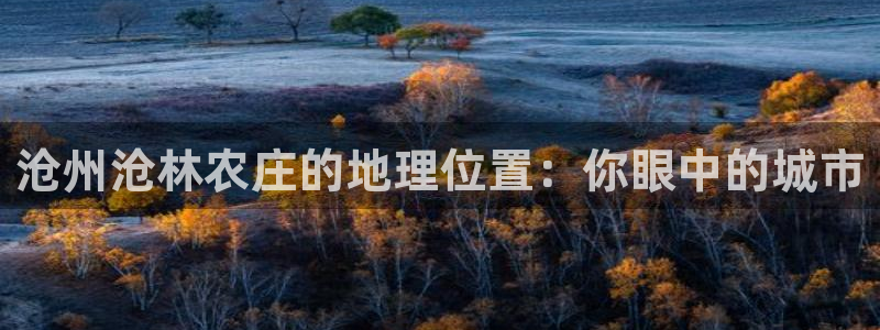 天辰娱乐app