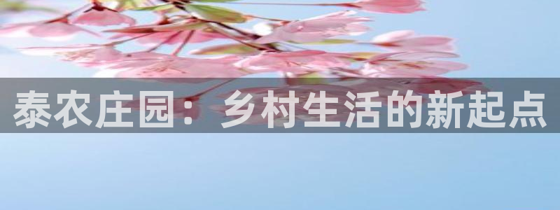 天辰娱乐入口