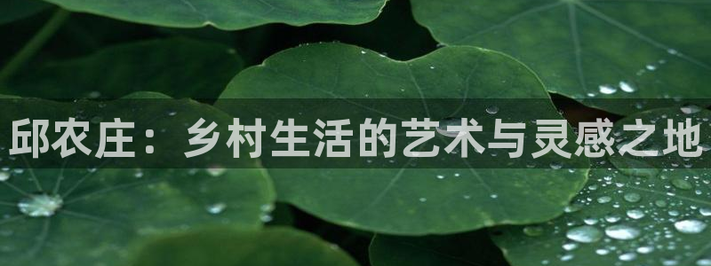天辰娱乐内部