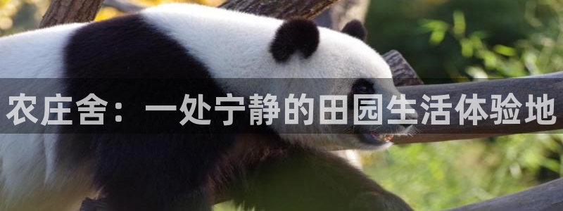 天辰娱乐481928
