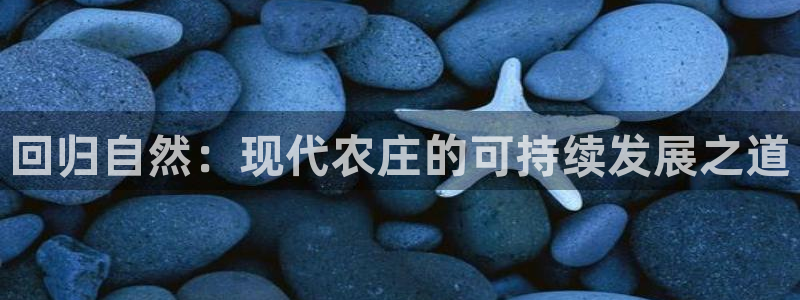 天辰娱乐 qq
