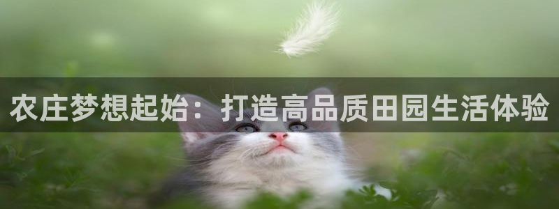 天辰娱乐登录测试