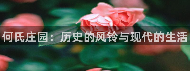 广东天辰娱乐